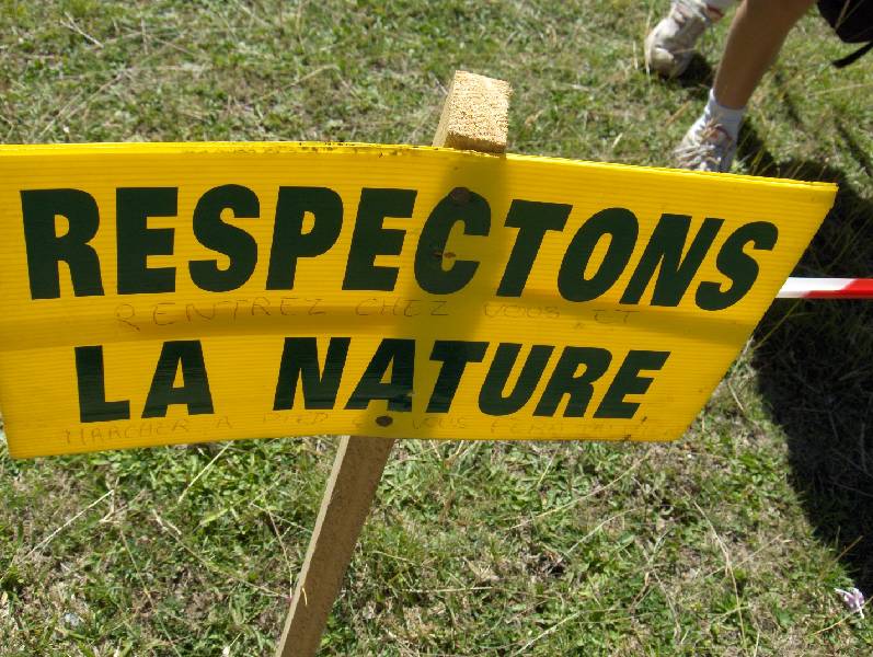 D Affiche respectons la nature.JPG